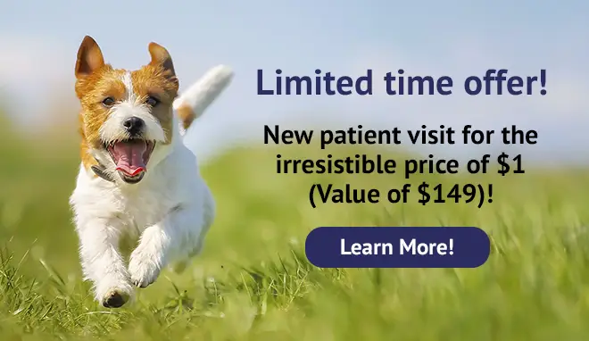 Special Offer! New patient visit for the irresistible price of $1 (Value of $149)!